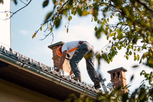 Quick and Trustworthy Emergency Roof Repair Services in Newport, DE
