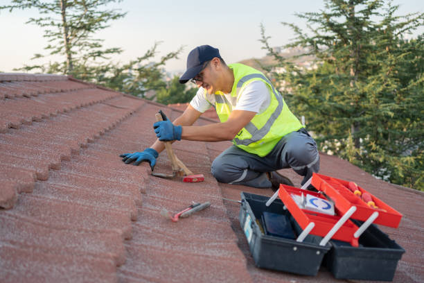 Best Storm Damage Roof Repair  in Newport, DE